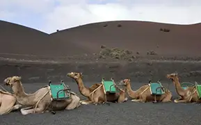 Lanzarote