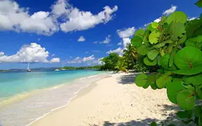 Imagen de St. John 
