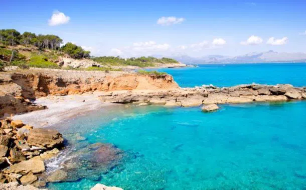 Alcudia