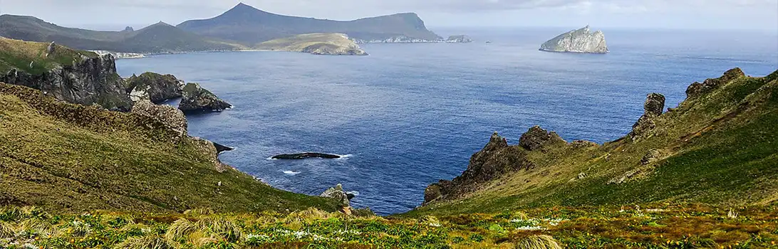 Enderby Island