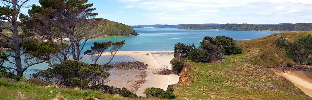 Ulva Island