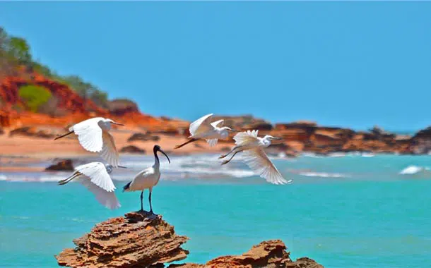 broome