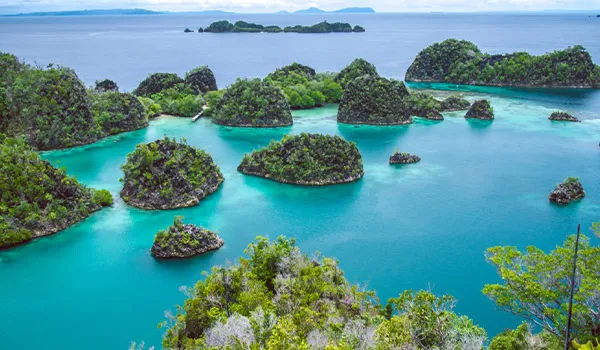 Sorong