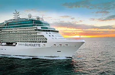 Celebrity Silhouette1